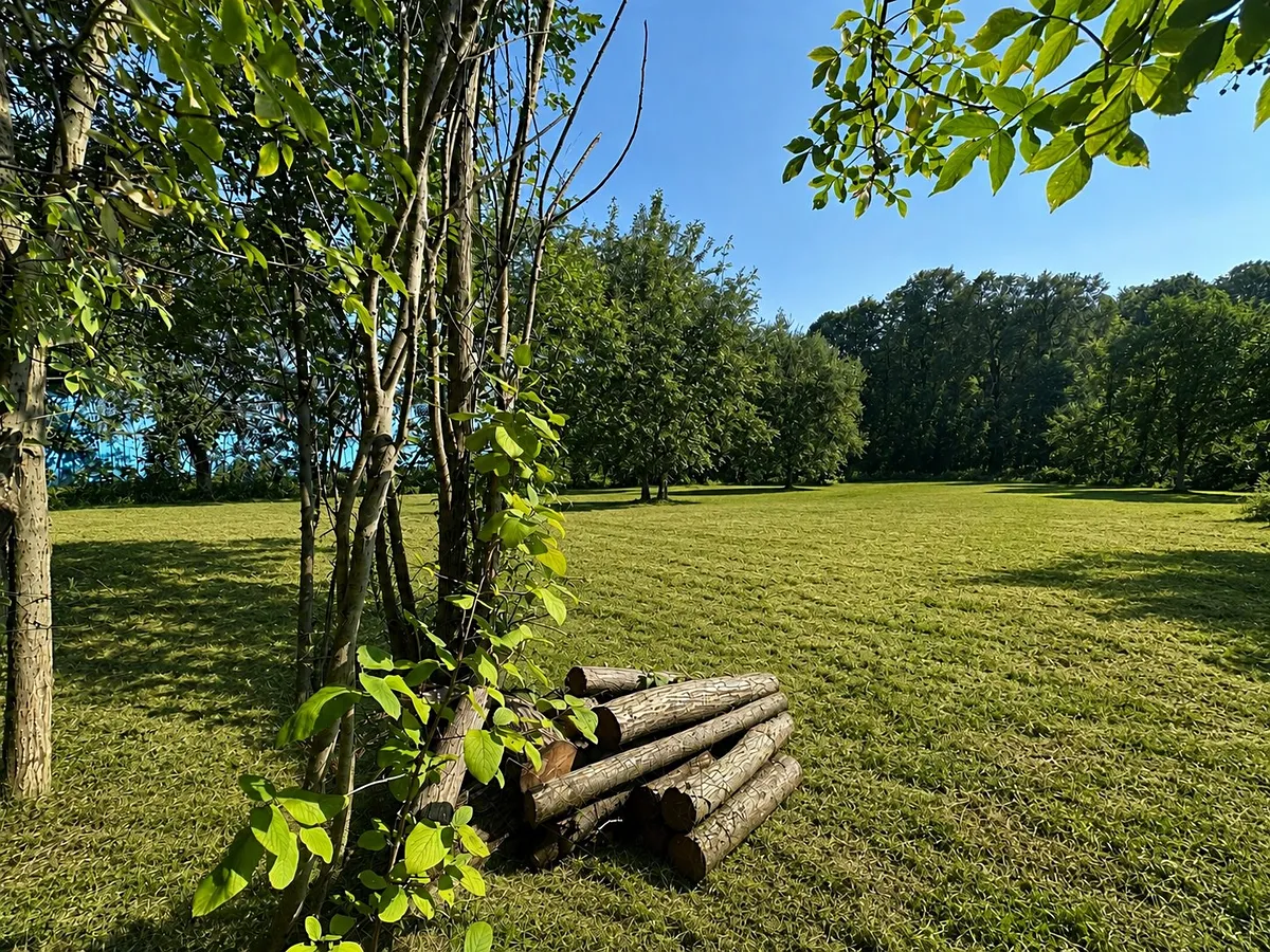 Prodej stavebního pozemku 2600 m²